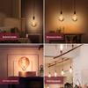 Philips Smart LED Dimmable Retro A60 Bulb