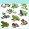 Wildlife Pvc Animal Models With Realistic Frog Collection For Children Educational Decor