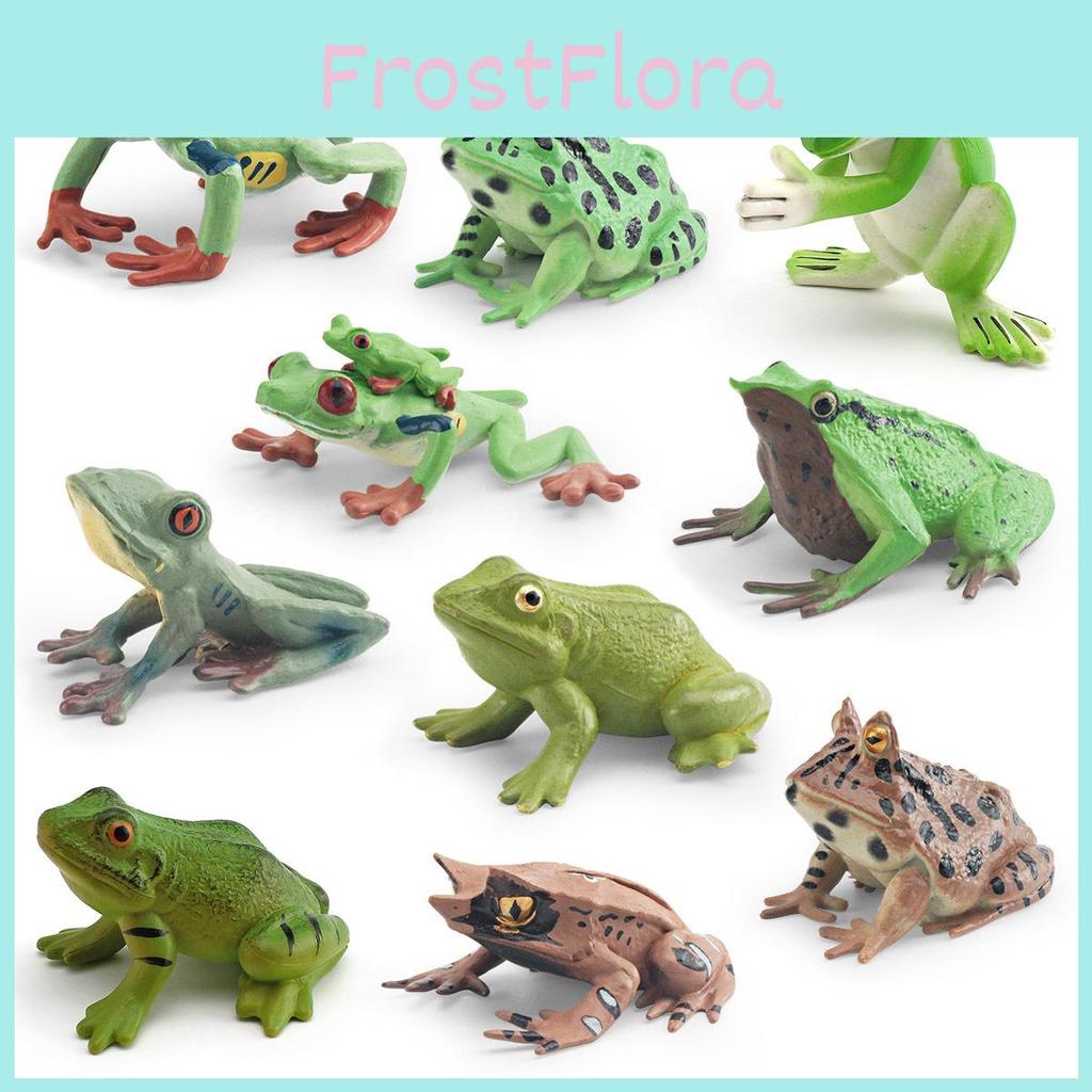 Wildlife Pvc Animal Models With Realistic Frog Collection For Children Educational Decor