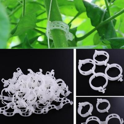 50 Adet Plastik Asma Bitkiler Sebze Destek Klip Bahçe Sera Tutucu Aracı