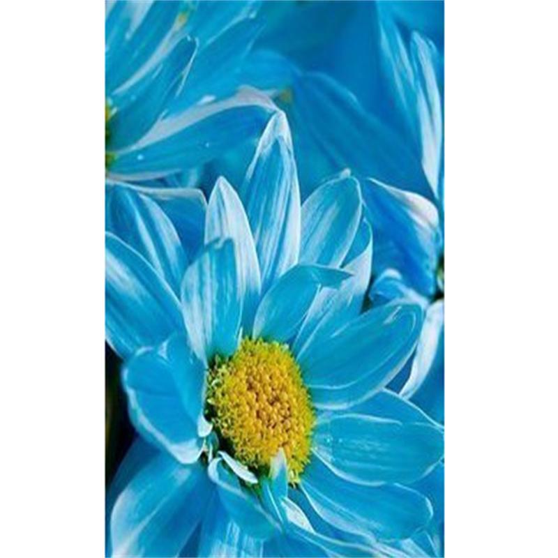 5D DIY Elmas Boyama Kaplan Mavi Gökyüzü Altında Elmas Nakış Çapraz Dikiş Kiti Tam Taklidi Mozaik Ev Dekor