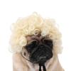 Hilarious Fun Pet Wig With Big Hair And Bangs Ideal For Cats And Dogs For Festive Celebrations