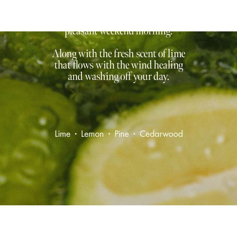 anillo Lime Sunday Refresh Hair & Brush Mini Set