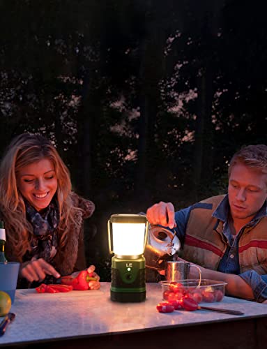Lepro Lantern, LED Camping Lantern, USB Rechargeable [Lantern and Power Bank in One / Ultra-Bright 1000 Lumens / Switchable between Daylight, Neutral