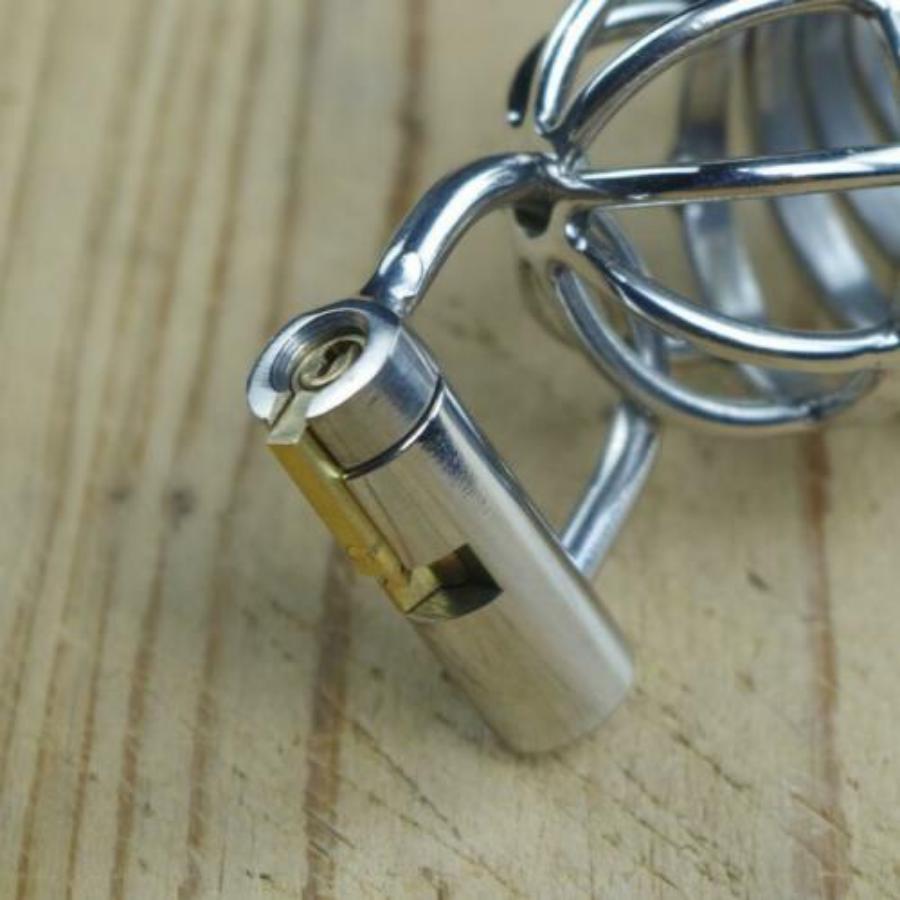 Steel PA Lock Prince Albert Piercing Male Puncture D Ring