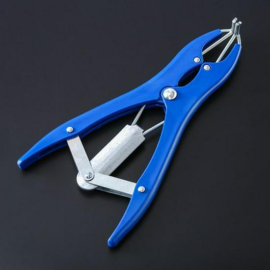 Influencer Bobo Balloon No-Stretch Bouquet - Transparent Wedding & Birthday Decoration