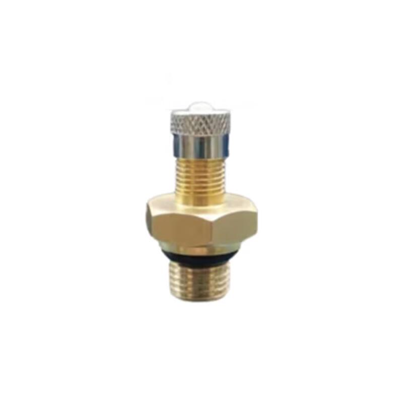 Dongfeng Mengshi CSK181 Tire Valve Assembly