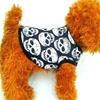 Autumn Dog Clothes For Halloween Skeleton Pattern Halloween Dog Clothes Dog Clothing Pet Apparel