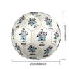 Argentina's Messi Celebration Size 5 Soccer Football Machine Sewn Indoor/Outdoor Universal Football Sports Enthusiast Gifts