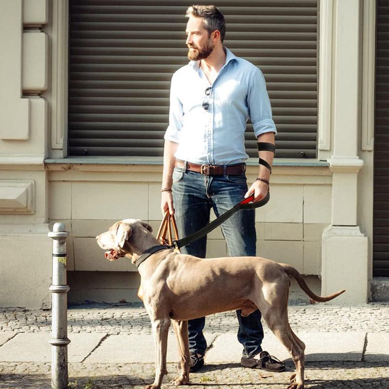 1,2/1,5/1,8m Zweihand-Schwerlast-Doppelgriff-Nylon-Hundeleine Für Training Kontrolle Sicherheitsseil Spaziergang Katzen Hunde Geschirr Leine