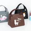Portable Insulated Thermal Cooler Lunch Bag Box For Women Girls Kids Children Food Fresh Tote Cartoon Pouch