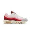 Nike Air Max 95 'Anatomy Of Air' DM0012-600