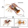 Children's Aquarium Shrimp & Lobster Simulation Set