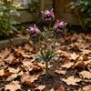 Einzigartiger Blumenbeet-Akzent Fleischfressende Pflanze Gartenstecker, Metall Venusfliegenfalle Hofkunst Skurrile Terrassen-Boden-Einlage Skulptur für Außenweg