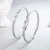 Exquisite 925 Sterling Silver Earrings With Diamond-Patterned Texture