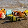 Oenux Solid Animals Action Figures Wild Ocean Insect Model Set Dinosaur Butterfly Fish Bird Turtle Frog Lizard Figurines Kid Toy