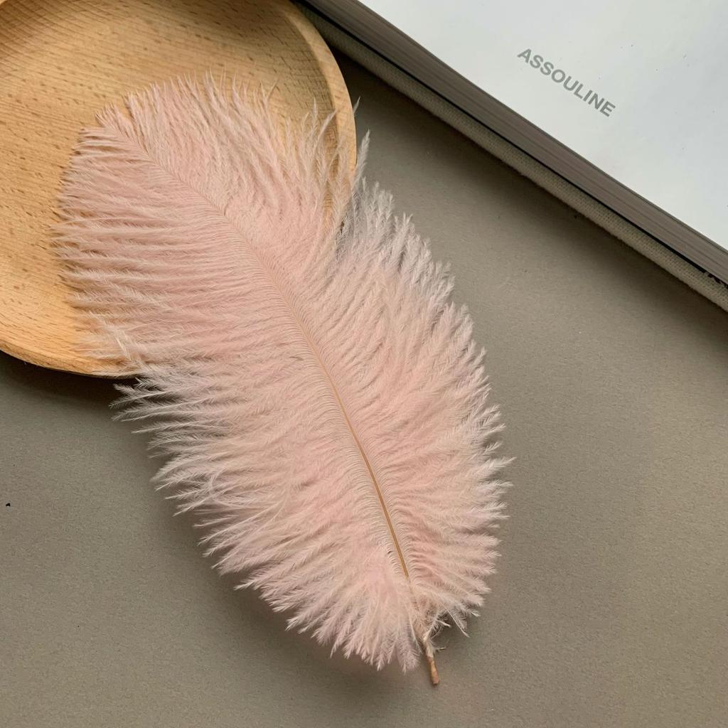 Color ostrich hair 15-20CM ostrich feather Internet celebrity photo background wall feather cake flower arrangement DIY decoration