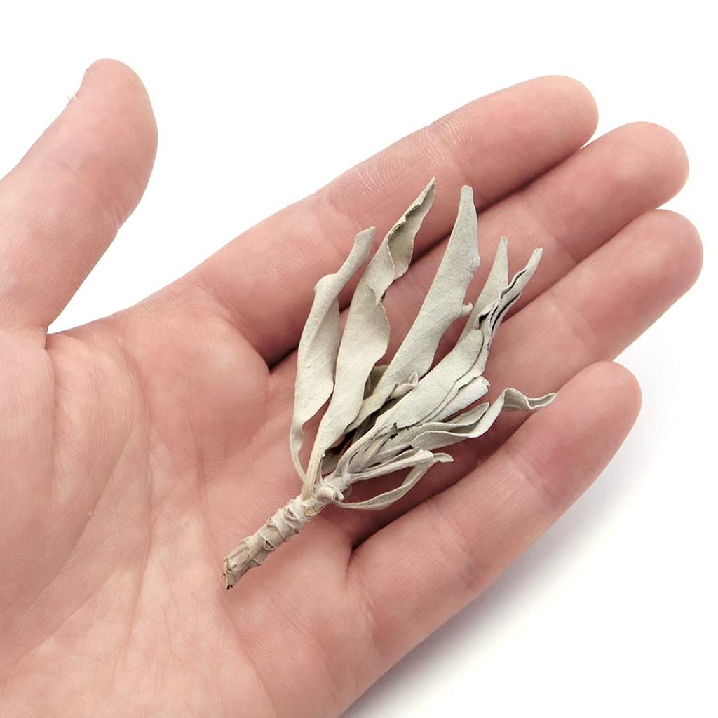 [GOLD STONE] White Sage, Pesticide-Free, California, Approx. 50g (with Stems, Small Leaves)