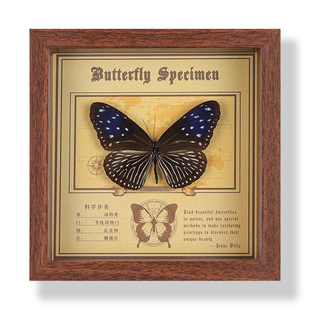 Real butterfly specimen photo frame, decorative painting, 3D ornament, handmade DIY, birthday gift, insect specimen