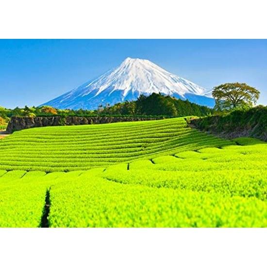 Artistic Wallpaper Poster (Removable Sticker Type) -How Photograph Earth- Fresh Green Carpet Shoots Tea Fields Imamiya Spectacular View Mount Fuji (A2