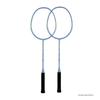 Double Fish Golden Sparrow Badmintonracket Set
