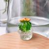 Mini Cactus Ornament Decorative Resin Cactus Car Dashboard Decor for Home Office Computer Desk Lightweight Novelty Gift for All Ages