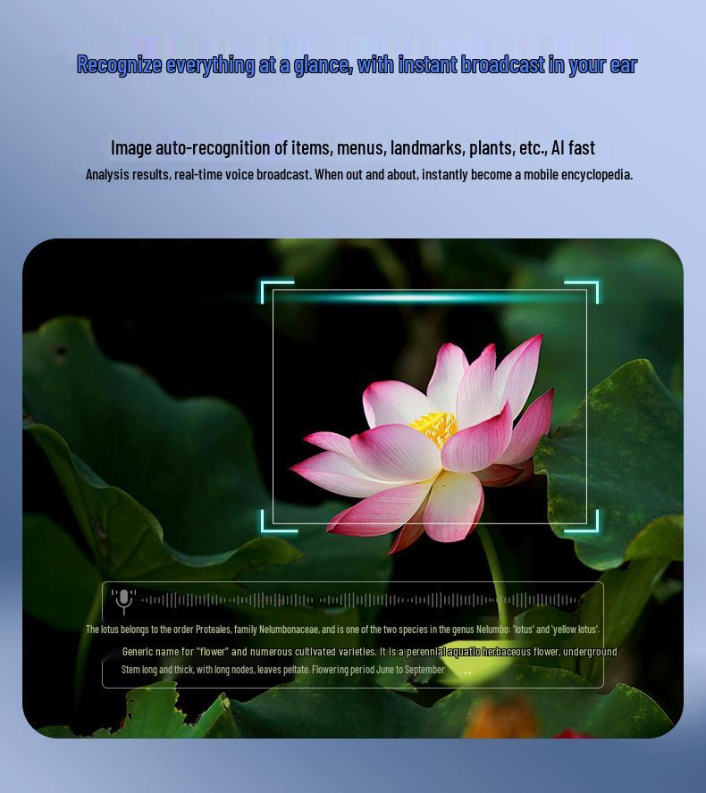 V03-T5 Smart Glasses: 800W Pixel Camera, Video Recording, Noise Reduction, AI Recognition, Real-time Translation