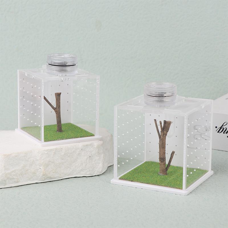 Springspinne Terrarium - Acryl Reptilien Zuchtbox Springspinne Box Mit Licht Luftbefeuchter Futterbehälter Zubehör