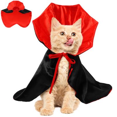 Kedi – Kediler için giyim