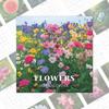 2026 Flowers Wall Calendar Floral Illustration Monthly Planner with Hand-Drawn Botanical Artwork for Home Office Use
