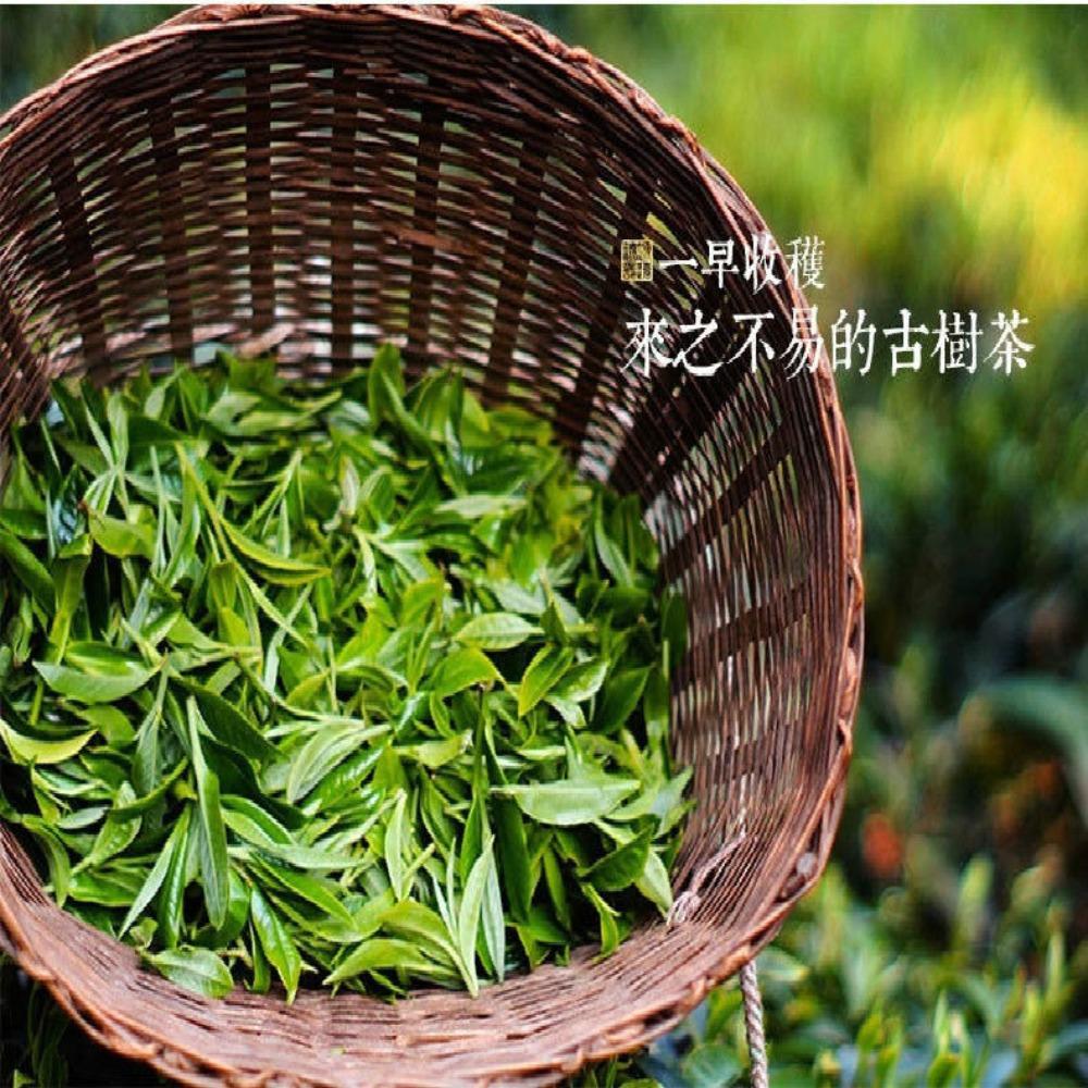 Organic Puerh Tea Cake 330g Ripe Cooked Fermented Healthy Eco Food