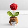 Homemade Crocheted Plant Pots Creative Knitted Pots Cute Positive Encouragement Pots