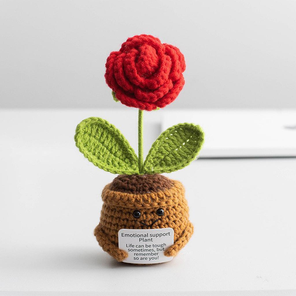 Homemade Crocheted Plant Pots Creative Knitted Pots Cute Positive Encouragement Pots