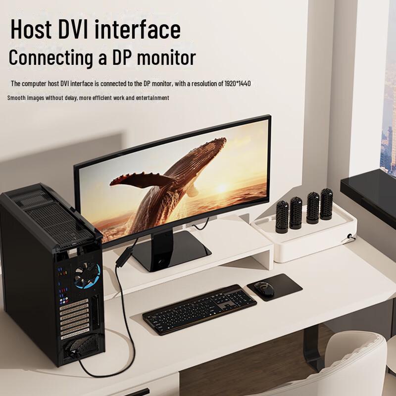 Biaz DVI To DisplayPort Male-to-Male HD Adapter for Computer To Projector Connection