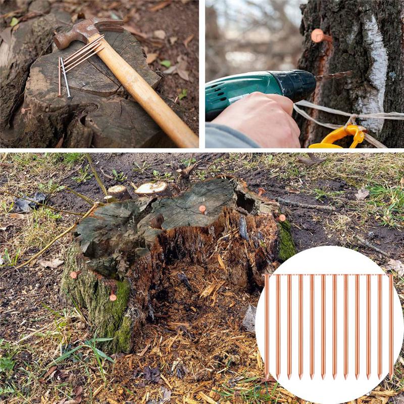 A23I-20 Pcs Copper Nails For Killing Trees, Stumps & Roots- 3.5 Inch Long Come With 1 Steel Nails And 1 Drill Nail