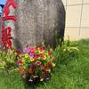 Artificial Topiary Ball Flowers For Outdoors Planters, Spring Decoration with Spike, UV Resistant Faux Summer Plants, Fake Bushes Indoor Decor