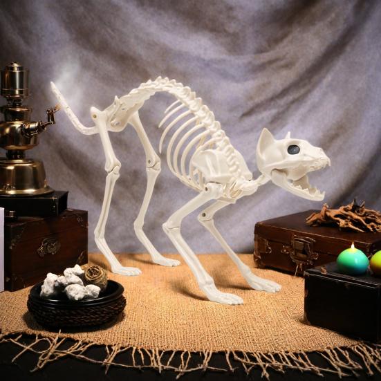 Halloweenská dekorace kočky kostry Hororová plastová kostra koťátka Kostní dekorace s pohyblivou čelistí Krk Ocas pro Halloweenskou párty Domácí dvorní dekorace