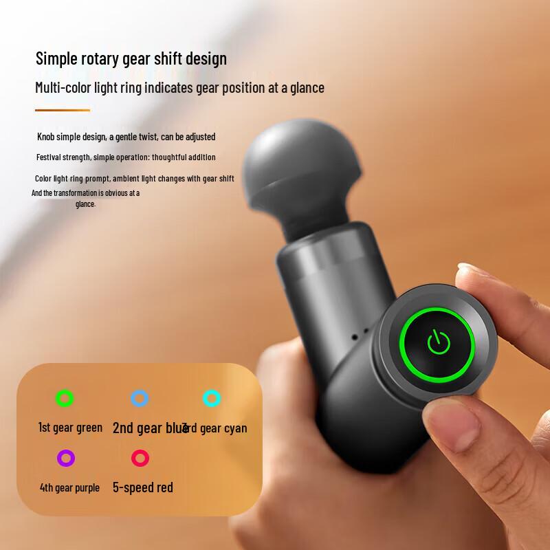 Philips PPM7308 Professional Full Body Muscle Massager