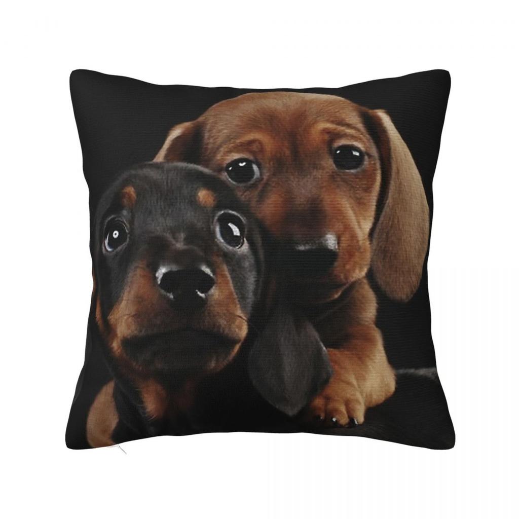 Dachshund Pillow Cases Gift for Animal Dog Lover Cushion Covers Awesome Polyester Decorative Pillowcase for Home 18x18