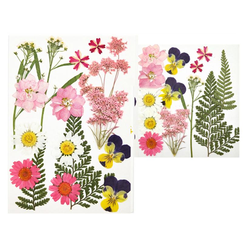 4 Inch 6 Inch Diy Glass Photo Frame Handmade Creative Simple Dried Flower Picture Frame Minimalist