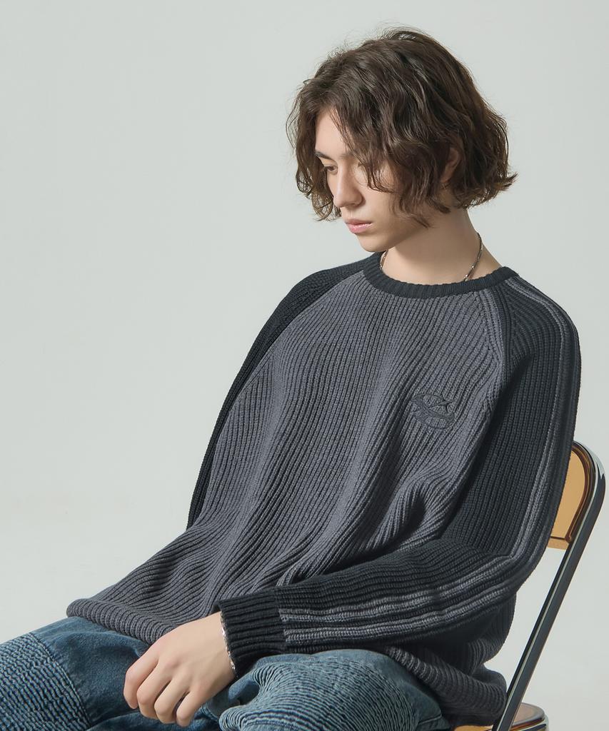 Dimiteulibeullaeg Vlad Raglan Track Sweatshirt Knit_Black