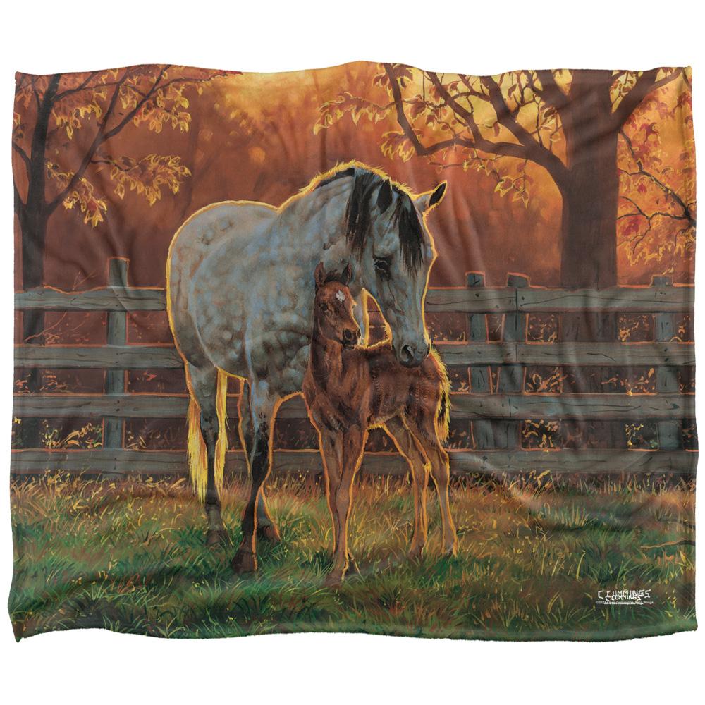 Wild Wings Silky Mother And Child Supersoft Blanket