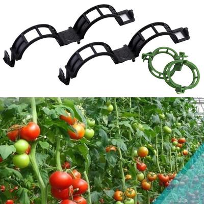 50/100Pcs Plant Clips Easy To Use Plastic Plant Support Clips Clear Tomato Clips Hollow Design Stem Support Clip for Gardening Climbing Plants