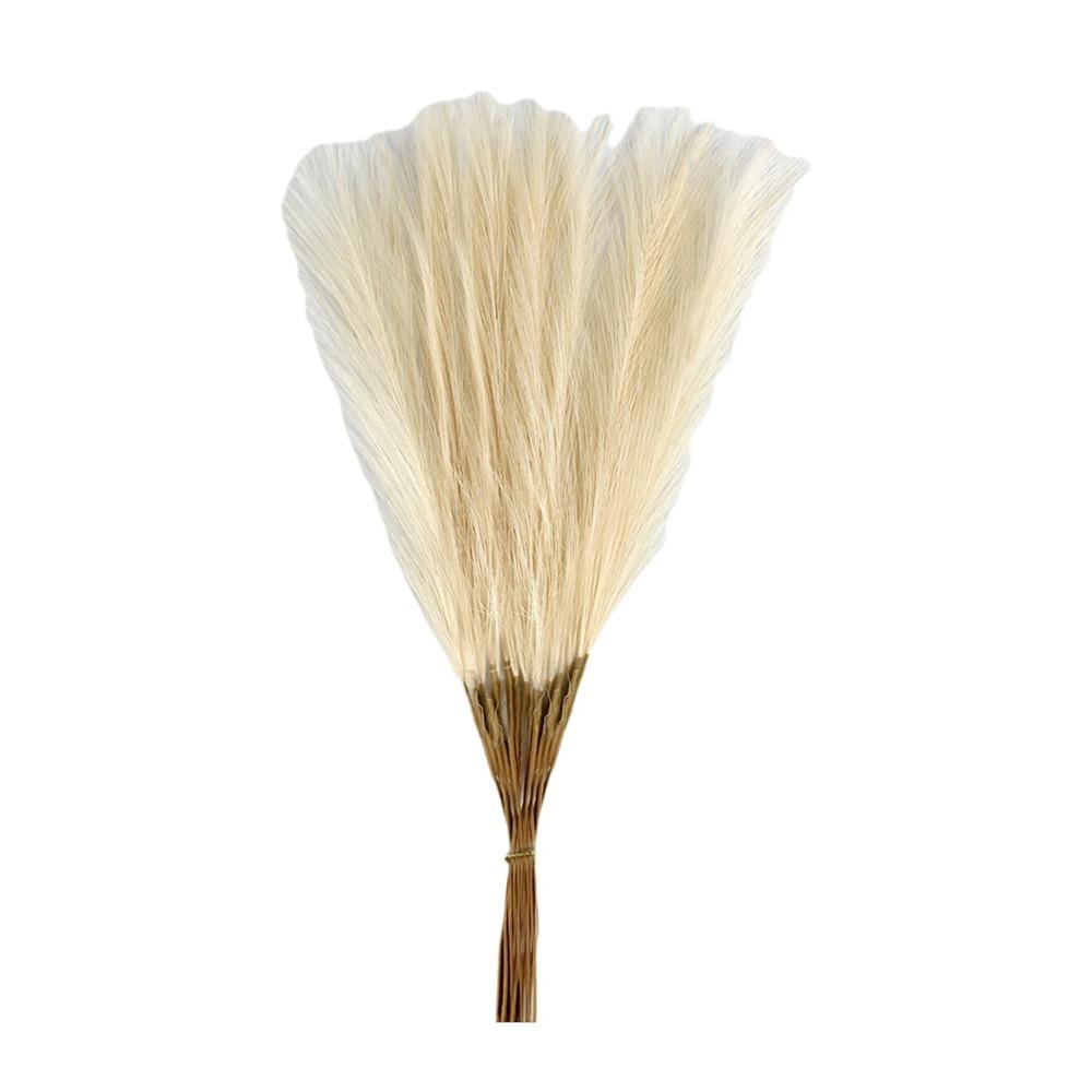 

20Pcs Fluffy Texture Artificial Pampas Grass Faux Grass Multi-color Faux Plant Reed 50cm/22in Tall Decoration бежевый