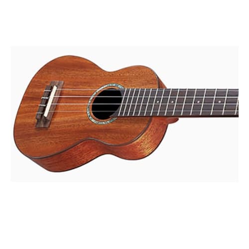 aNueNue aNN-T3E Tenor Ukulele with Pickup, Electric Ukulele by aNueNue