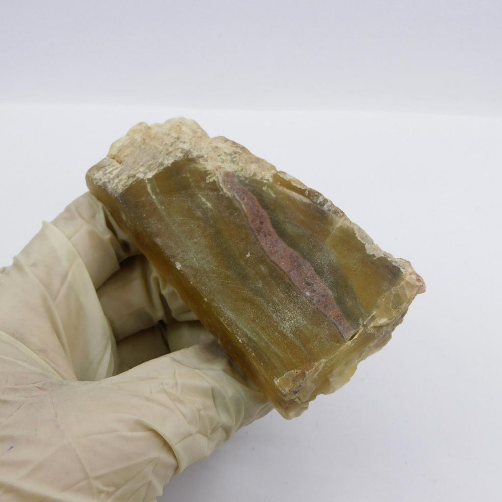 Fluorite 488.35 Ct Multi Color Natural Uncut Raw Rough Loose Gemstone