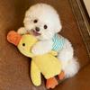 Squeaky Plush Dog Toy: Durable Chew & Teething Delight with Little Yellow Duck for Pet Entertainment & Decompression During Sleep