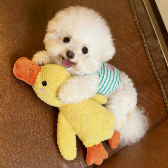 Squeaky Plush Dog Toy: Durable Chew & Teething Delight with Little Yellow Duck for Pet Entertainment & Decompression During Sleep