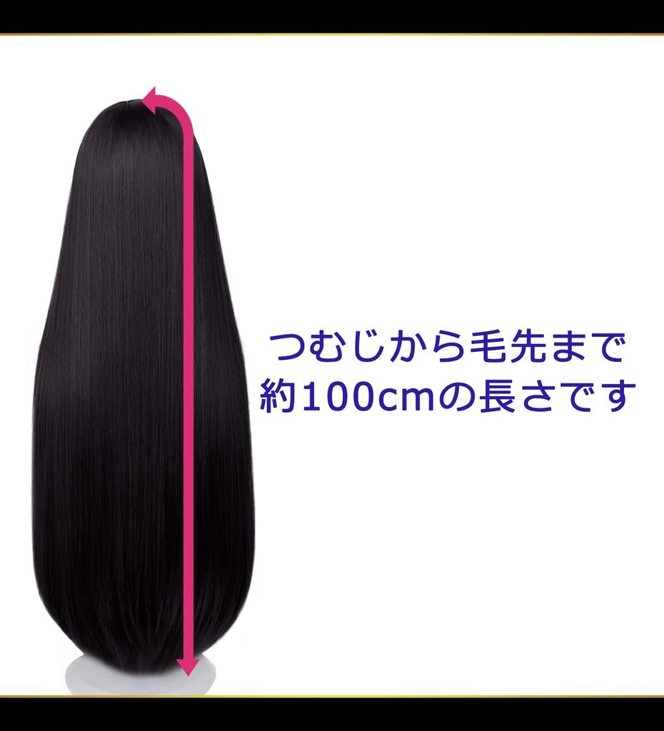 [CaseEden] Cosplay Wig, Silky Smooth Straight Long, 100cm, Heat Resistant, Black Hair, WIG6152