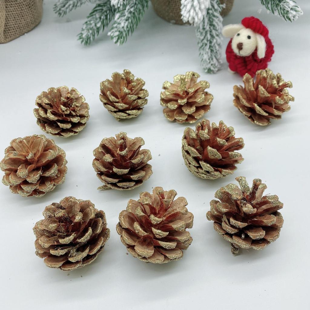 Natural Dried Pine Cones for Christmas Tree Decoration, Photography Props, Floral Wreaths, and Bouquets.